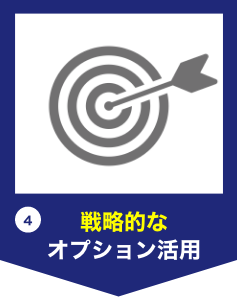戦略的なオプション活用