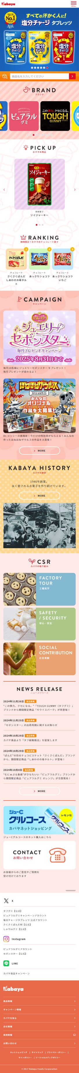 サイトイメージ モバイル